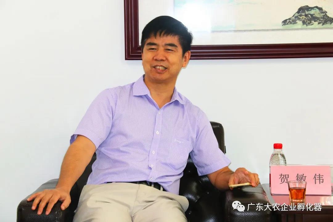 “英德市电商创业孵化基地”、“茶产业数字化实验室” 挂牌成立！