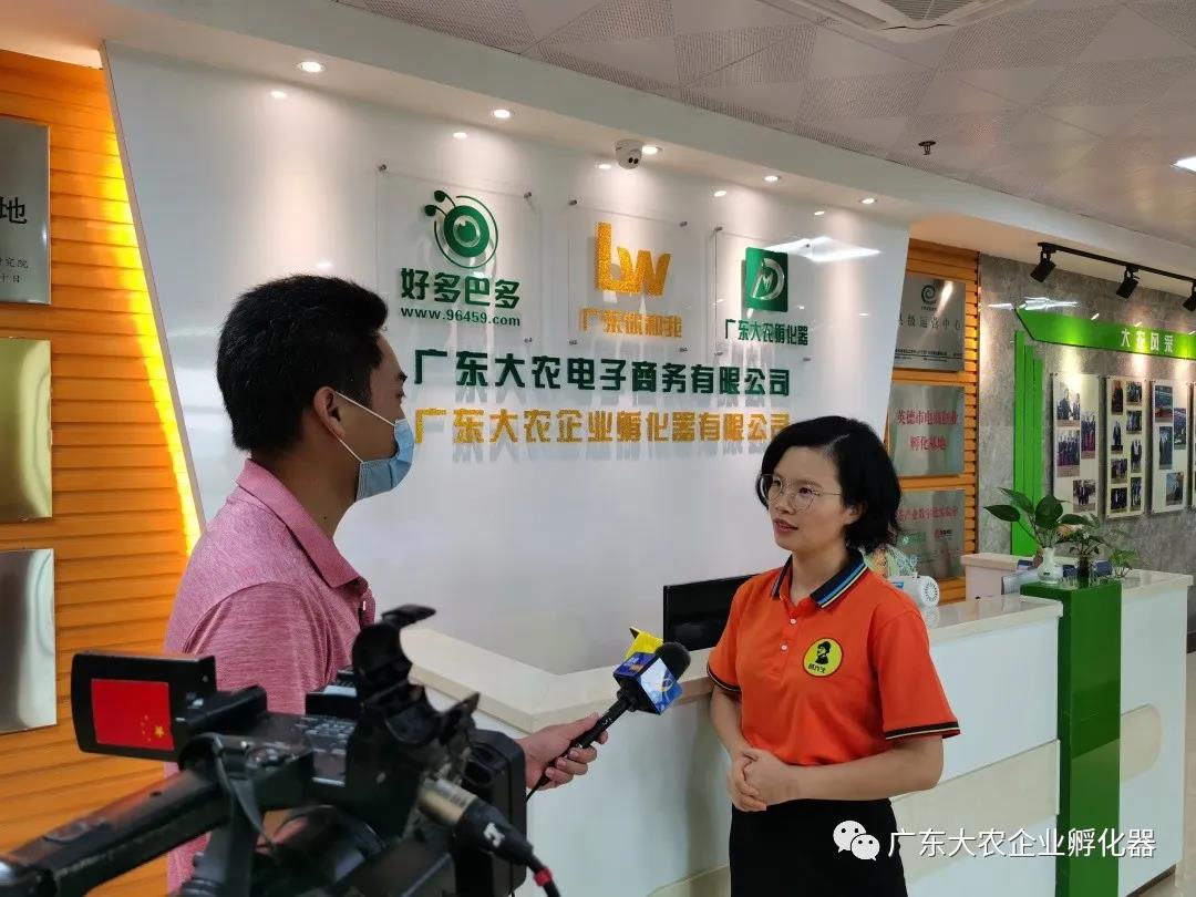 “英德市电商创业孵化基地”、“茶产业数字化实验室” 挂牌成立!