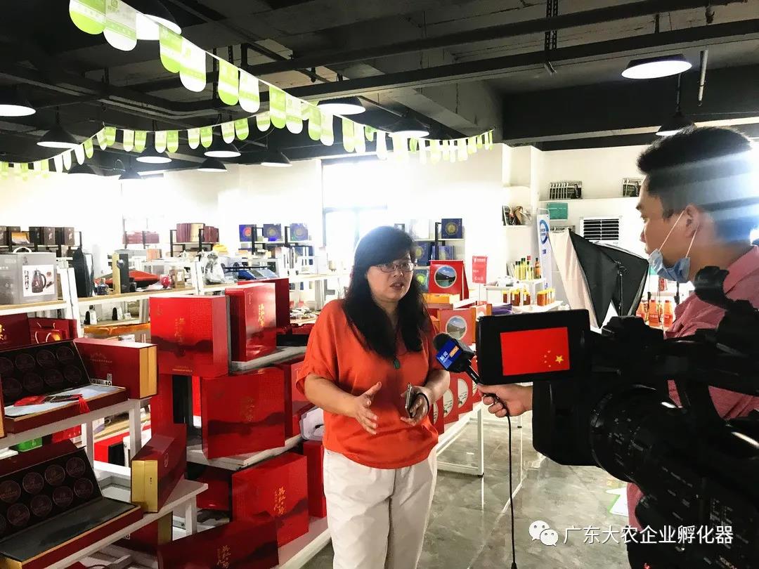 “英德市电商创业孵化基地”、“茶产业数字化实验室” 挂牌成立！