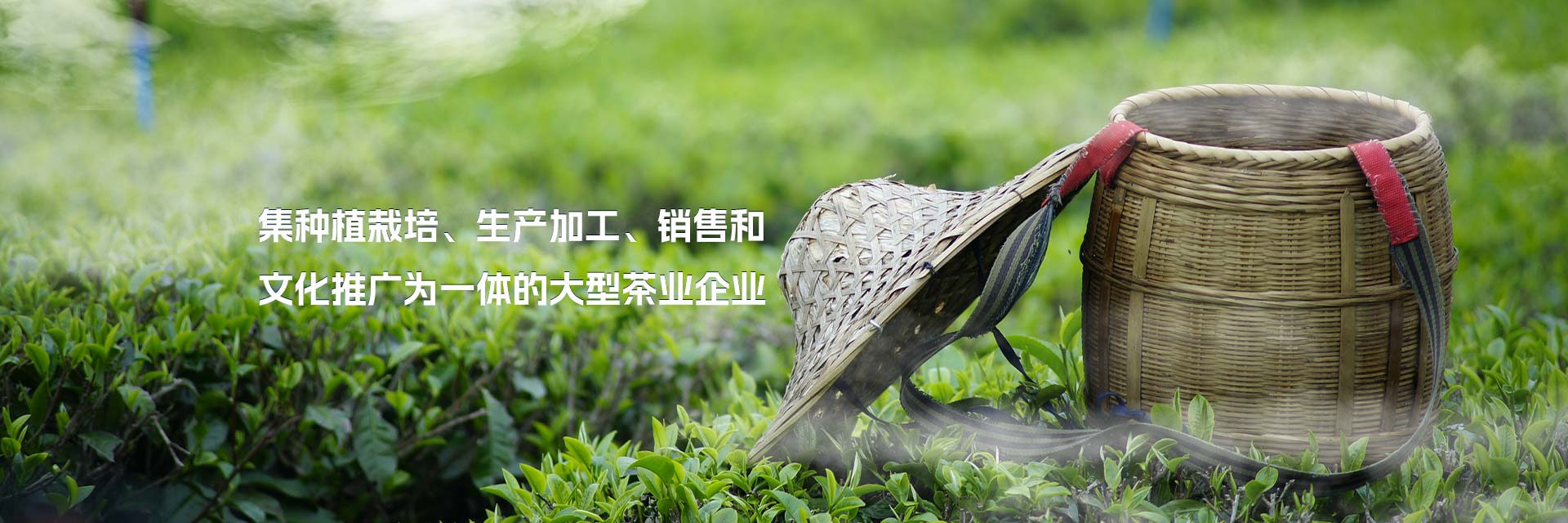 东莞市鸿基企业管理有限公司